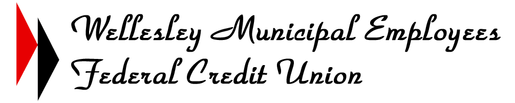 WMEFCU Placeholder Logo